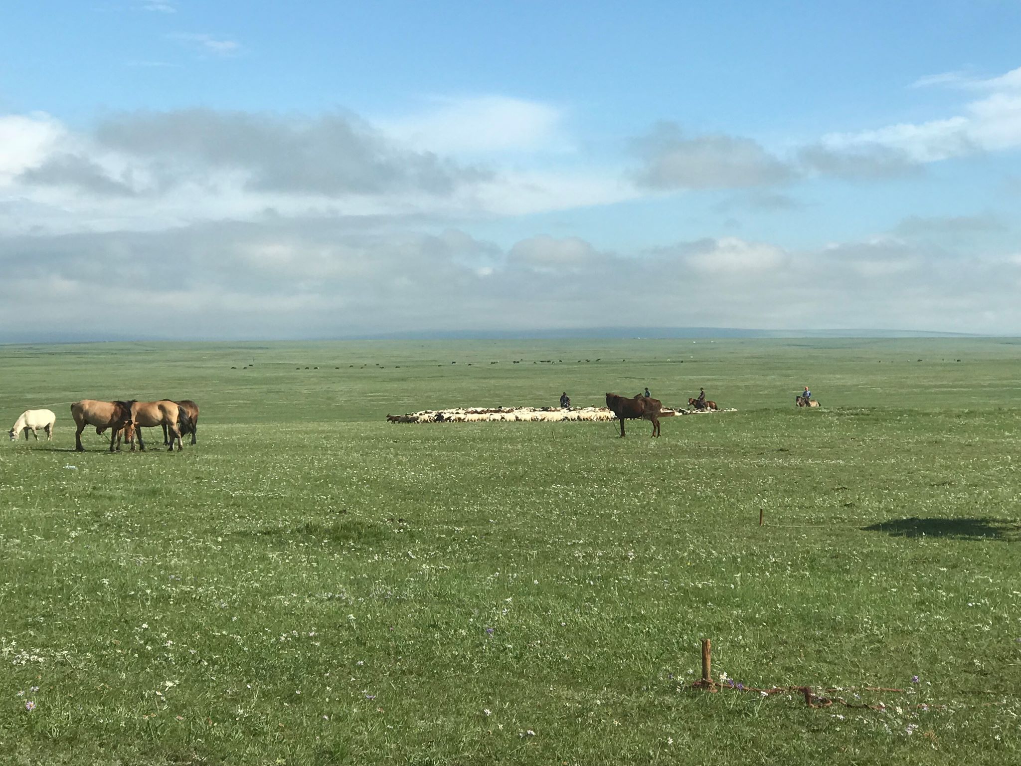 モンゴル草原について Morinzoo Travel モンゴル草原について Morinzoo Travel